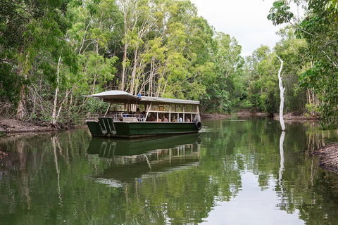 Hartley's Crocodile Adventures Breakfast With The Koalas - Accommodation Sunshine Coast 0