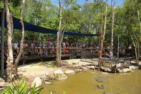 Hartley's Crocodile Adventures Breakfast With The Koalas - Accommodation Sunshine Coast 1