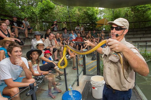 Hartley's Crocodile Adventures Breakfast With The Koalas - Accommodation Sunshine Coast 3
