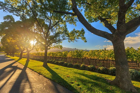 Very Best Of Perth Tour - Wildlife Park & City Highlights Tour - Accommodation Sunshine Coast 2
