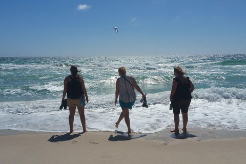 Very Best Of Perth Tour - Wildlife Park & City Highlights Tour - Accommodation Sunshine Coast 5