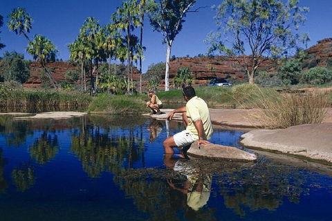 Palm Valley 4WD Day Tour - Accommodation Sunshine Coast 1