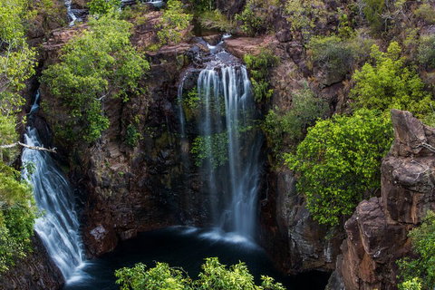 Litchfield National Park - Top End Day Tour From Darwin - Accommodation Sunshine Coast 2