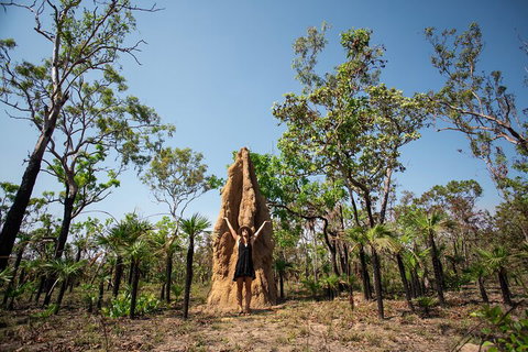 Litchfield National Park - Top End Day Tour From Darwin - Accommodation Sunshine Coast 5