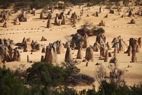 Pinnacles Sunset Dinner And Stargazing Experience A Small Group Tour - Accommodation Sunshine Coast 0