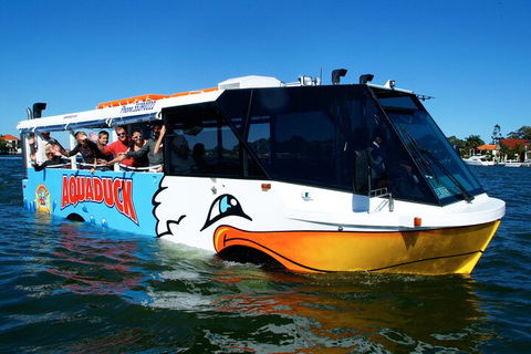 Express Jet Boat Ride + Aquaduck - Accommodation Sunshine Coast 0