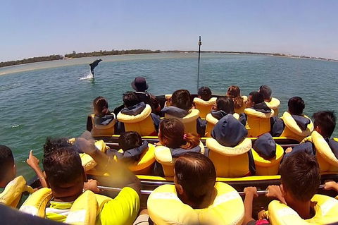 Express Jet Boat Ride + Aquaduck - Accommodation Sunshine Coast 4