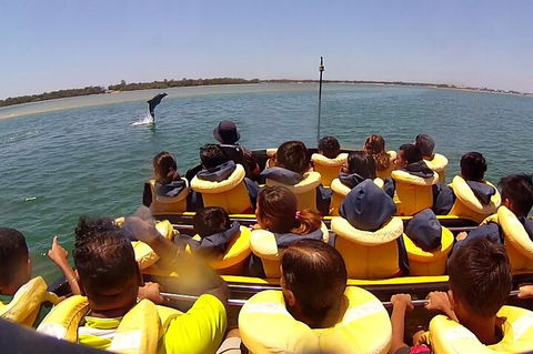 Gold Coast 55 Minute Adventure Jet Boat Ride - Accommodation Sunshine Coast 0