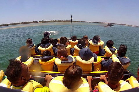 Jet Boat Express Ride - 30mins - Accommodation Sunshine Coast 5
