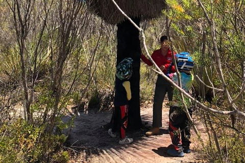 Kangaroo Island Quad Bike (ATV) Tours - Accommodation Sunshine Coast 0