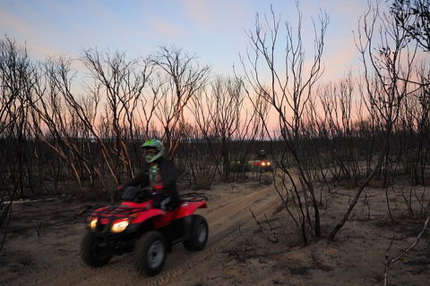 Kangaroo Island Quad Bike (ATV) Tours - Accommodation Sunshine Coast 1