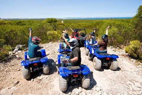 Kangaroo Island Quad Bike (ATV) Tours - Accommodation Sunshine Coast 3