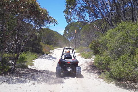 Kangaroo Island Quad Bike (ATV) Tours - Accommodation Sunshine Coast 4