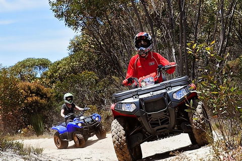 Kangaroo Island Quad Bike (ATV) Tours - Accommodation Sunshine Coast 5