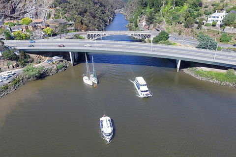 2.50 Hour Afternoon Discovery Cruise Including Cataract Gorge Departing At 3 Pm - Accommodation Sunshine Coast 1
