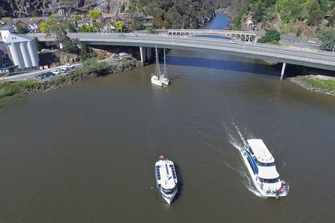 2.50 Hour Afternoon Discovery Cruise Including Cataract Gorge Departing At 3 Pm - Accommodation Sunshine Coast 3