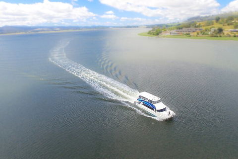 2.5 Hour Afternoon Discovery Cruise Including Cataract Gorge Departs At 1: 30 Pm - Accommodation Sunshine Coast 0