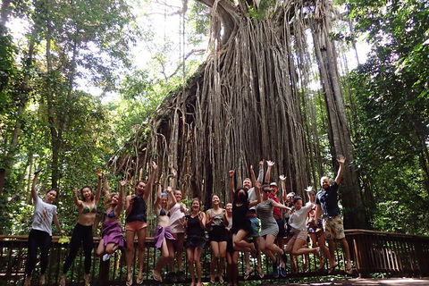 Atherton Tablelands Waterfalls Tour From Cairns - Accommodation Sunshine Coast 5