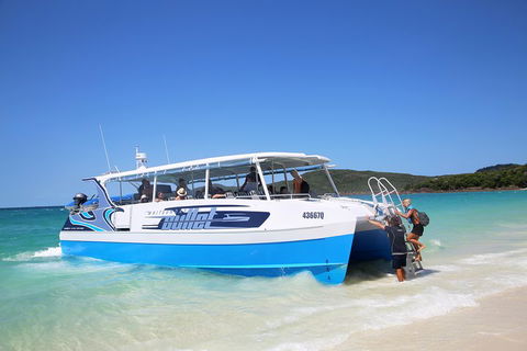 Whitsunday Bullet Day Trip - Whitehaven Beach And Snorkelling - Accommodation Sunshine Coast 3