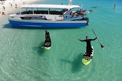 Whitsunday Bullet Day Trip - Whitehaven Beach And Snorkelling - Accommodation Sunshine Coast 4
