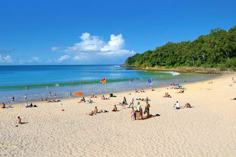 Noosa Everglades Serenity Cruise & Highlights Tour Inc. Lunch & Cruise - Accommodation Sunshine Coast 4