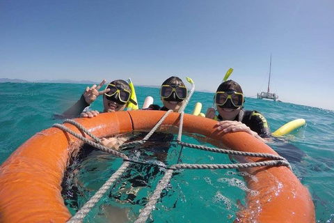 Full-Day Great Barrier Reef Sailing Trip - Accommodation Sunshine Coast 0