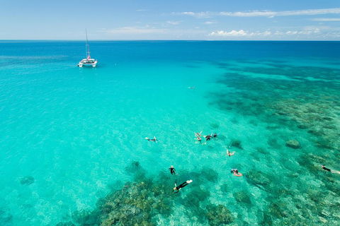 Full-Day Great Barrier Reef Sailing Trip - Accommodation Sunshine Coast 2