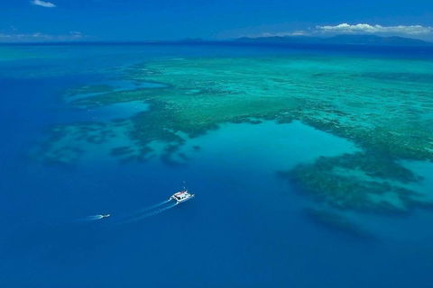 Full-Day Great Barrier Reef Sailing Trip - Accommodation Sunshine Coast 3