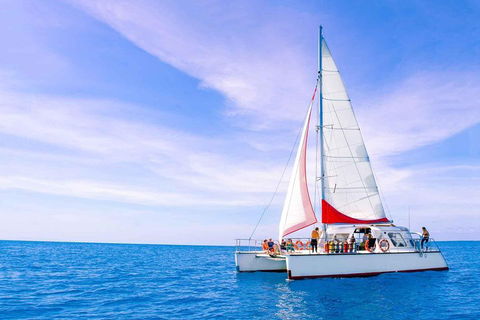 Full-Day Great Barrier Reef Sailing Trip - Accommodation Sunshine Coast 4
