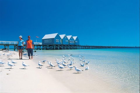 Margaret River And Geographe Bay Region Day Trip From Perth - Accommodation Sunshine Coast 0