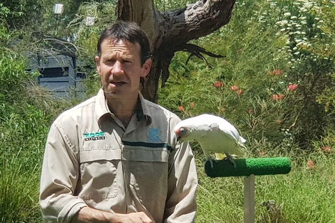 Healesville Sanctuary And Rayners Orchard Tour From Melbourne - Accommodation Sunshine Coast 0