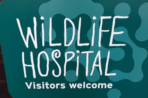 Healesville Sanctuary And Rayners Orchard Tour From Melbourne - Accommodation Sunshine Coast 1