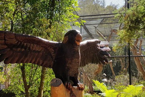 Healesville Sanctuary And Rayners Orchard Tour From Melbourne - Accommodation Sunshine Coast 2
