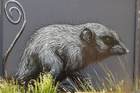 Healesville Sanctuary And Rayners Orchard Tour From Melbourne - Accommodation Sunshine Coast 5
