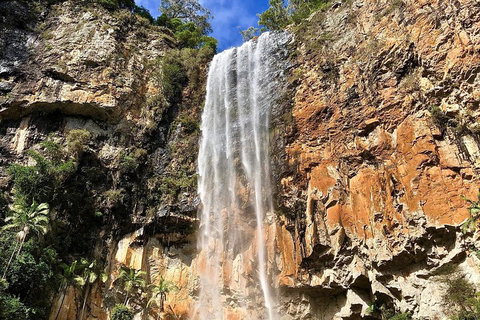 Springbrook Full Day Tour - Accommodation Sunshine Coast 2
