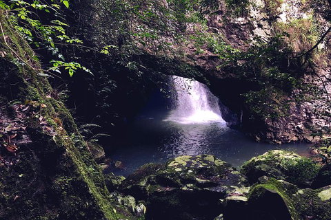 Springbrook Full Day Tour - Accommodation Sunshine Coast 3