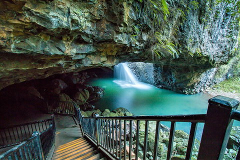 Springbrook Full Day Tour - Accommodation Sunshine Coast 4