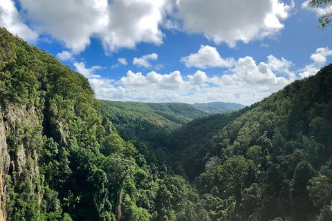 Exclusive Private Tour - Design Your Own - Accommodation Sunshine Coast 3