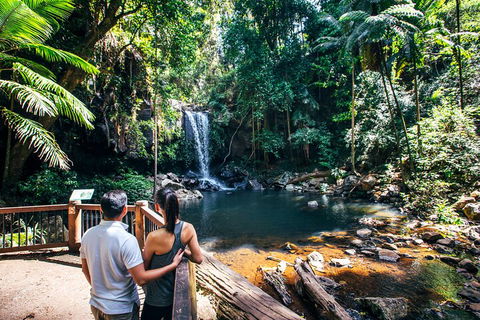 Aquaduck & Your Choice Of Gold Coast Rainforest Tour - Accommodation Sunshine Coast 0