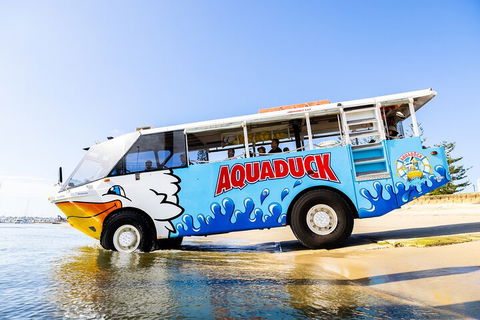 Aquaduck & Your Choice Of Gold Coast Rainforest Tour - Accommodation Sunshine Coast 3