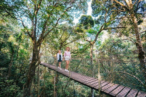Aquaduck & Your Choice Of Gold Coast Rainforest Tour - Accommodation Sunshine Coast 4