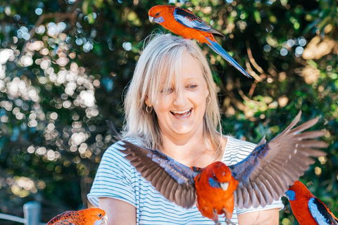Aquaduck & Your Choice Of Gold Coast Rainforest Tour - Accommodation Sunshine Coast 5