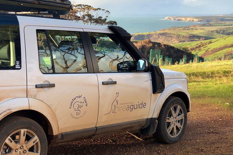 Kangaroo Island 4WD Tour - Best Of KI In 2 Days - Accommodation Sunshine Coast 4