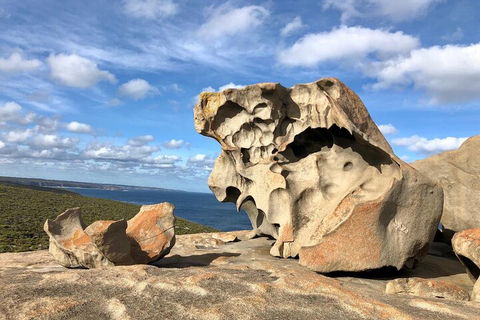 Kangaroo Island 4WD Tour - Best Of KI In 2 Days - Accommodation Sunshine Coast 5