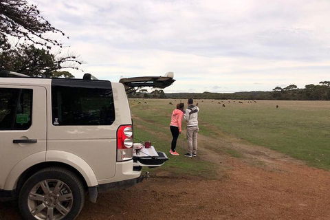 Kangaroo Island 4WD Tour - Flinders Chase - Accommodation Sunshine Coast 3