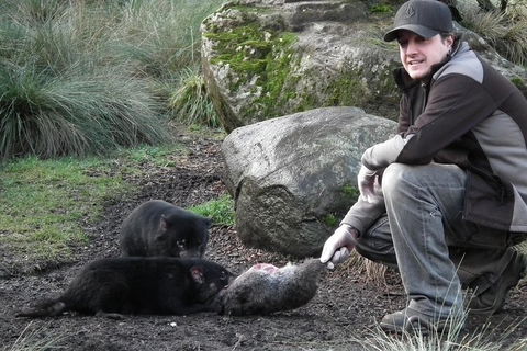 After Dark Tasmanian Devil Feeding Tour At Cradle Mountain - Accommodation Sunshine Coast 2