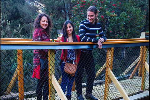 Sunset Experience - Accommodation Sunshine Coast 2