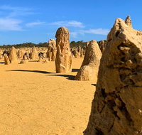 Pinnacles Desert Private Day Tour - Accommodation Sunshine Coast
