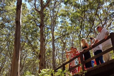 The All About Margaret River Tour: Wine, Coffee, Lunch And Forest - Accommodation Sunshine Coast 3