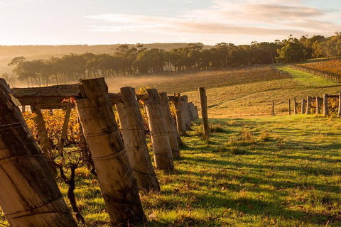 The All About Margaret River Tour: Wine, Coffee, Lunch And Forest - Accommodation Sunshine Coast 5